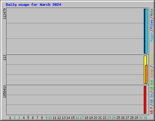 Daily usage for March 2024