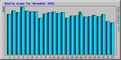 Hourly usage for November 2023