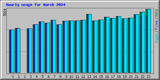 Hourly usage for March 2024