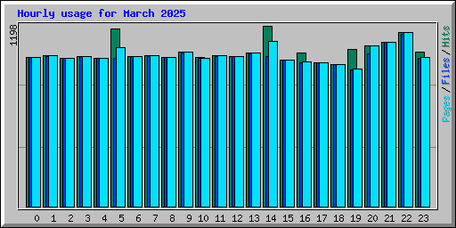 Hourly usage for March 2025